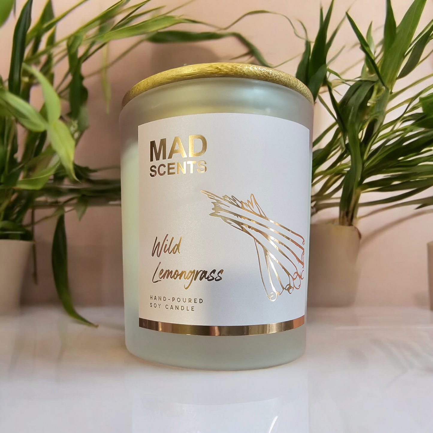 Wild Lemongrass - Classic Frosted Candle
