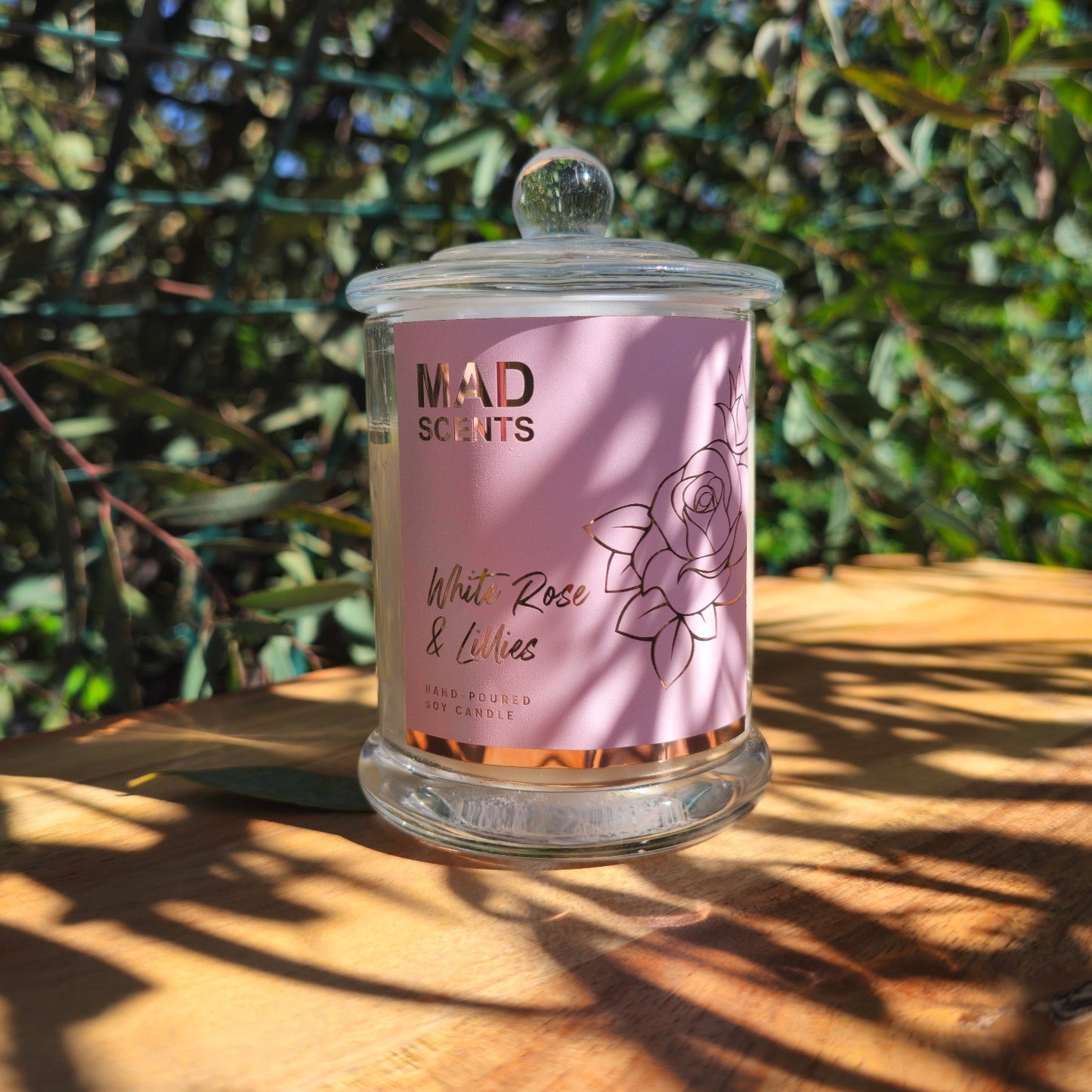 Wild Lemongrass - Mid WW Candle