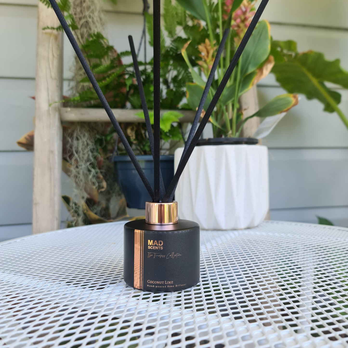 Coconut Lime - Timeless Matte Black Reed Diffuser (120ml)