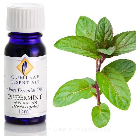 Peppermint - 10ml Essential Oil