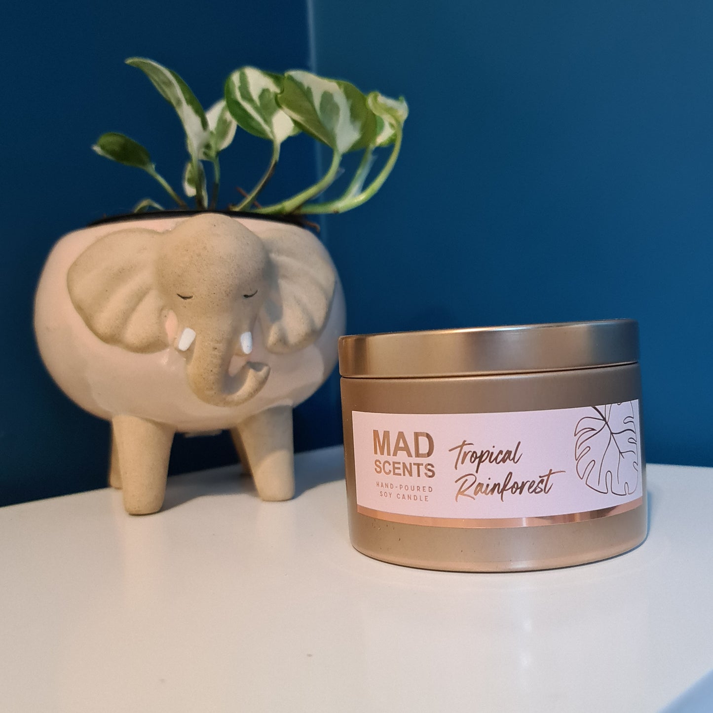 Tropical Rainforest - Large Tin Candle (Copper)