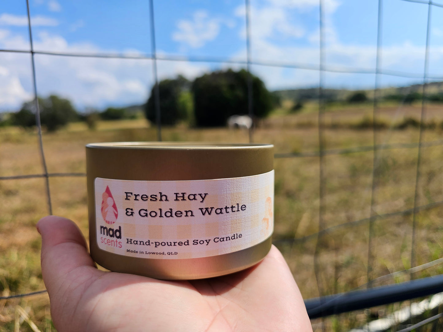 Fresh Hay & Golden Wattle - Large Tin Candle