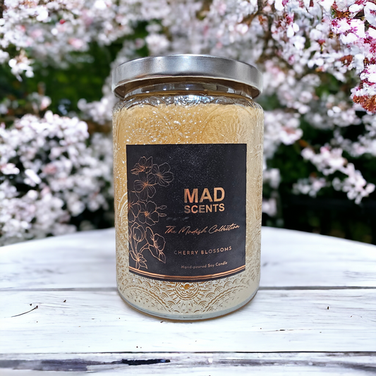 Cherry Blossoms Modish XL Candle (Limited Edition)