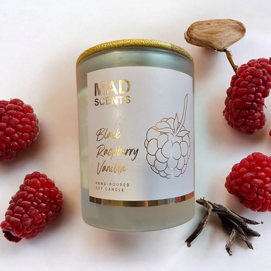 Black Raspberry & Vanilla - Classic Frosted Candle