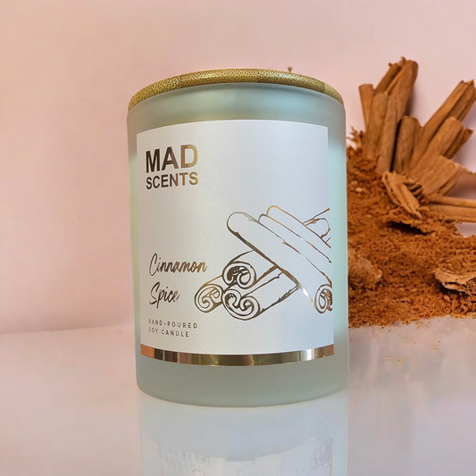 Cinnamon Spice - Classic Frosted Candle