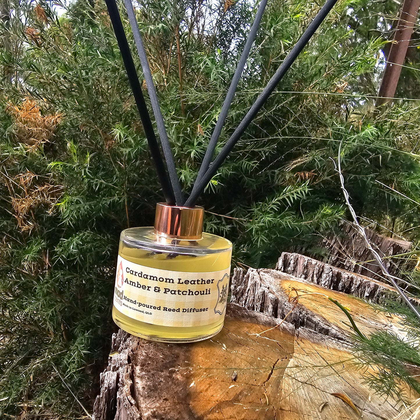 Cardamom Leather Amber & Patchouli - Reed Diffuser 120ml