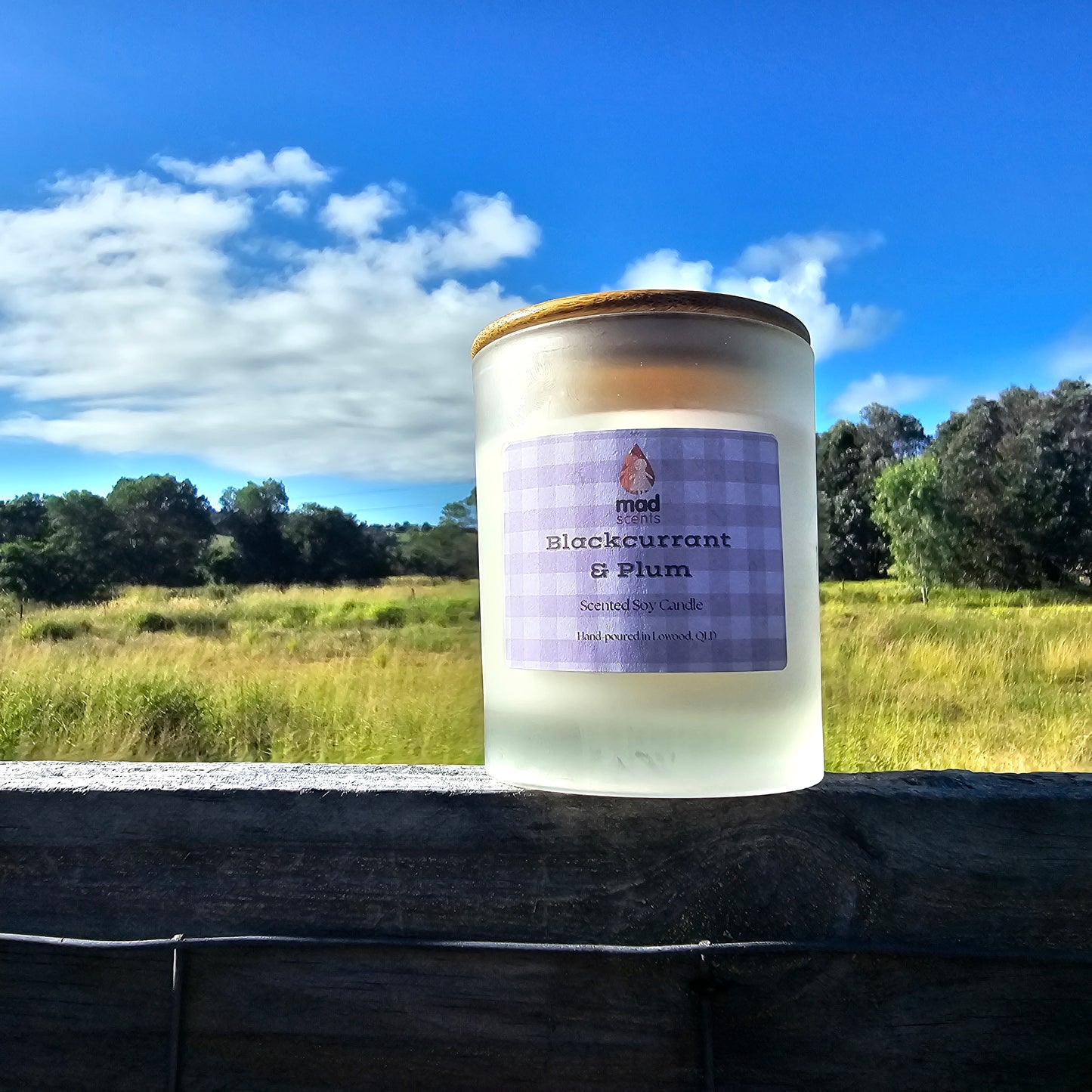 Blackcurrant & Plum -Classic Frosted Candle