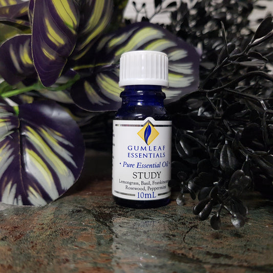 Study - 10ml Essential Oil Blend