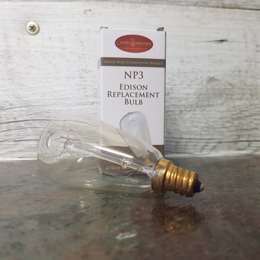 CW NP3 Edison Bulb Replacement Bulb