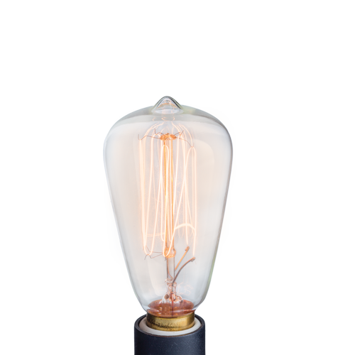 CW NP3 Edison Bulb Replacement Bulb