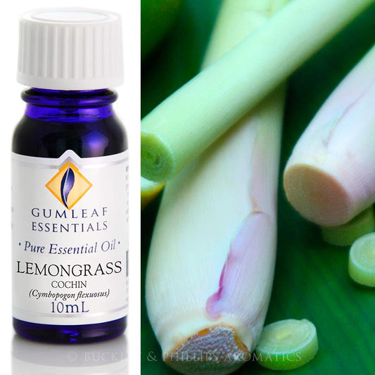Lemongrass Cochin - 10ml Essential Oil