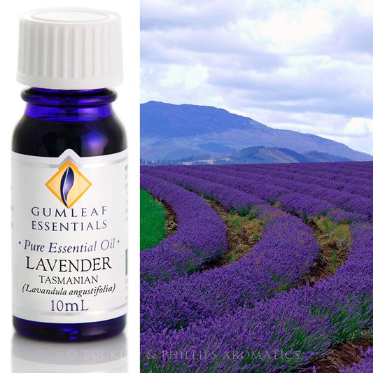 Lavender (Tasmanian) - 10ml Essential Oil