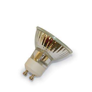 CW NP5 Replacement Bulb